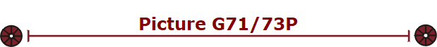 Picture G71/73P